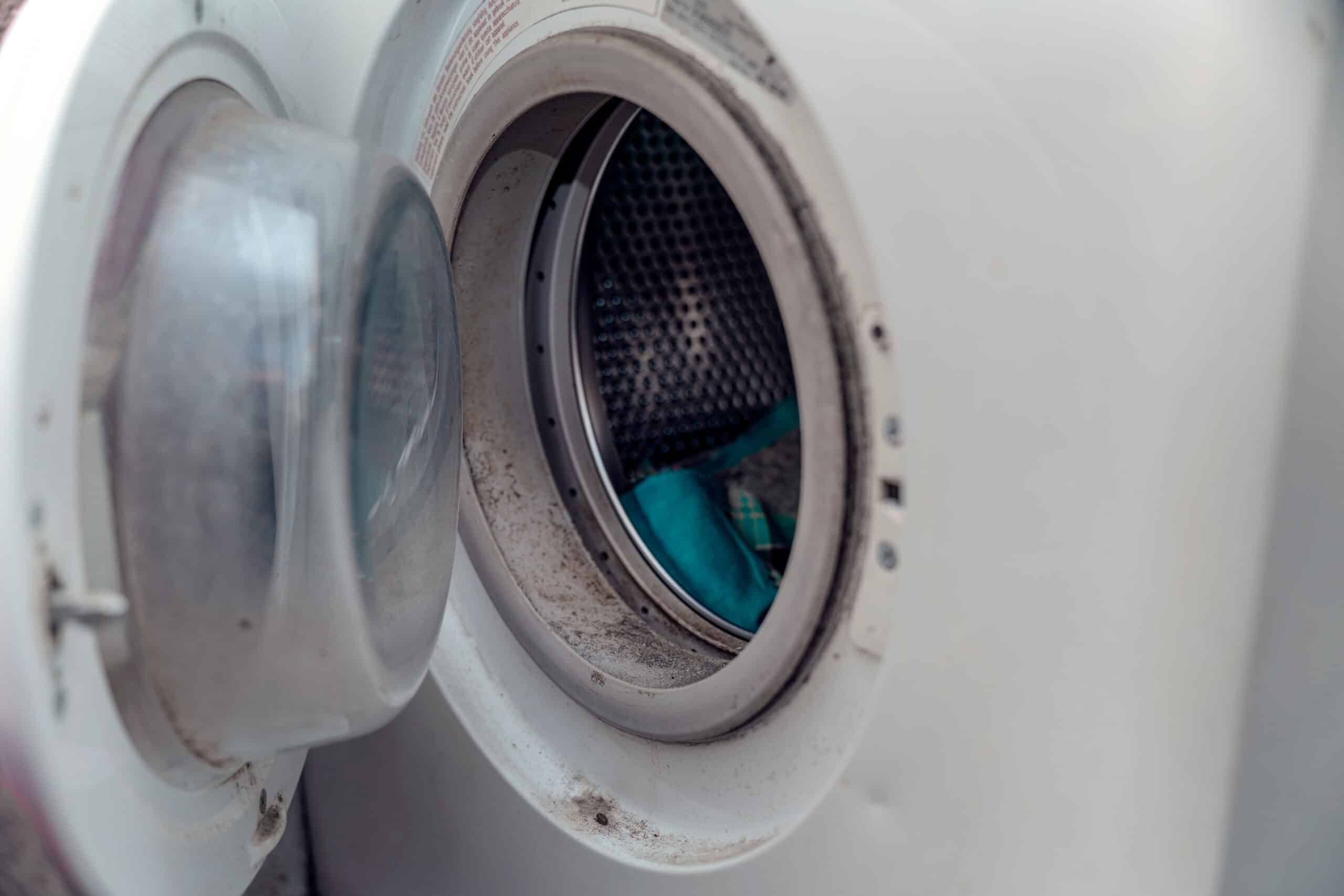 Mucegaiul de pe garnitura mașinii de spălat, cum se îndepărtează?