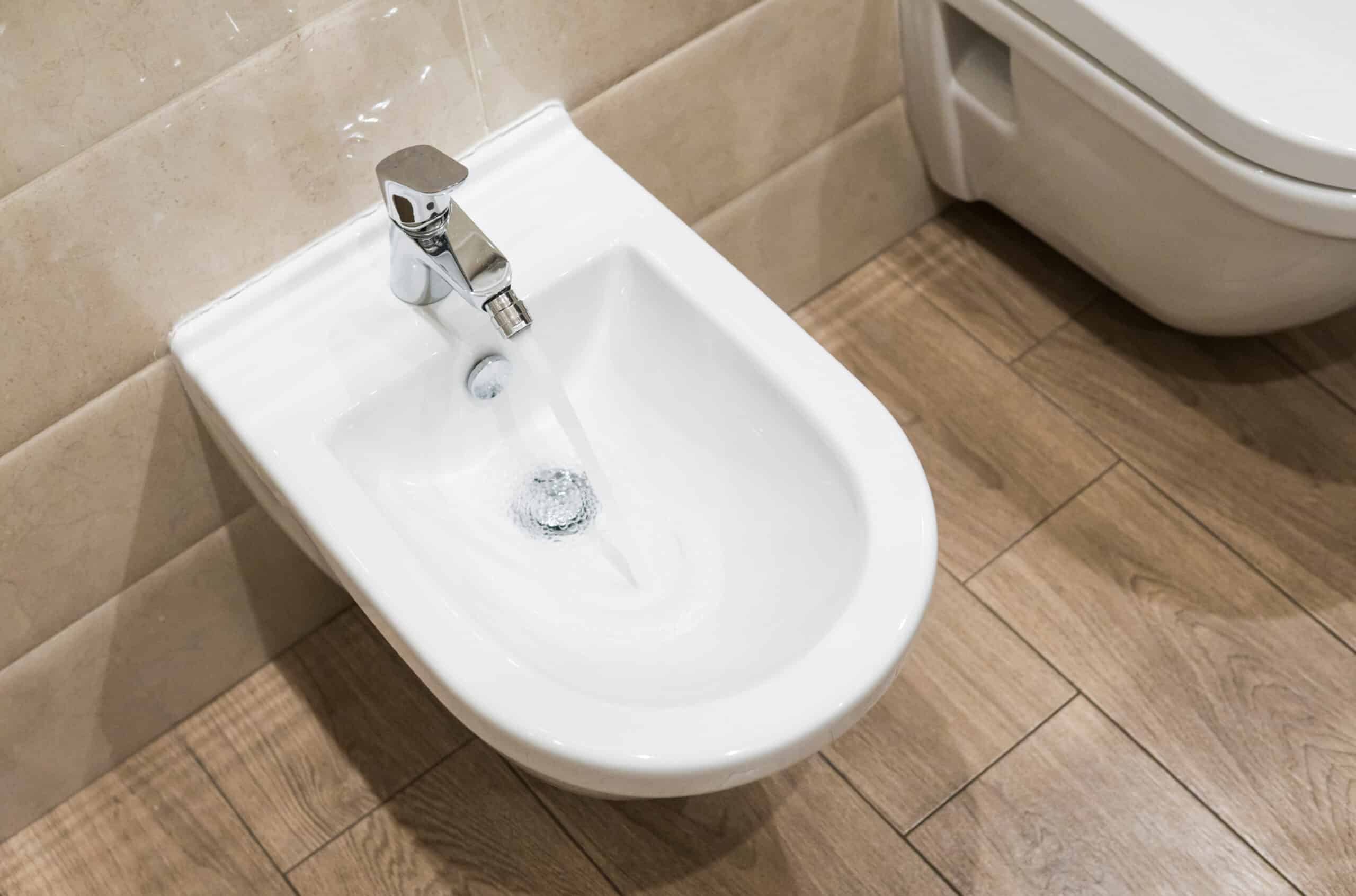bidet și funcția sa secretă