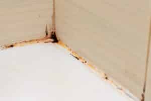 soluție pentru rosturi murdare din baie