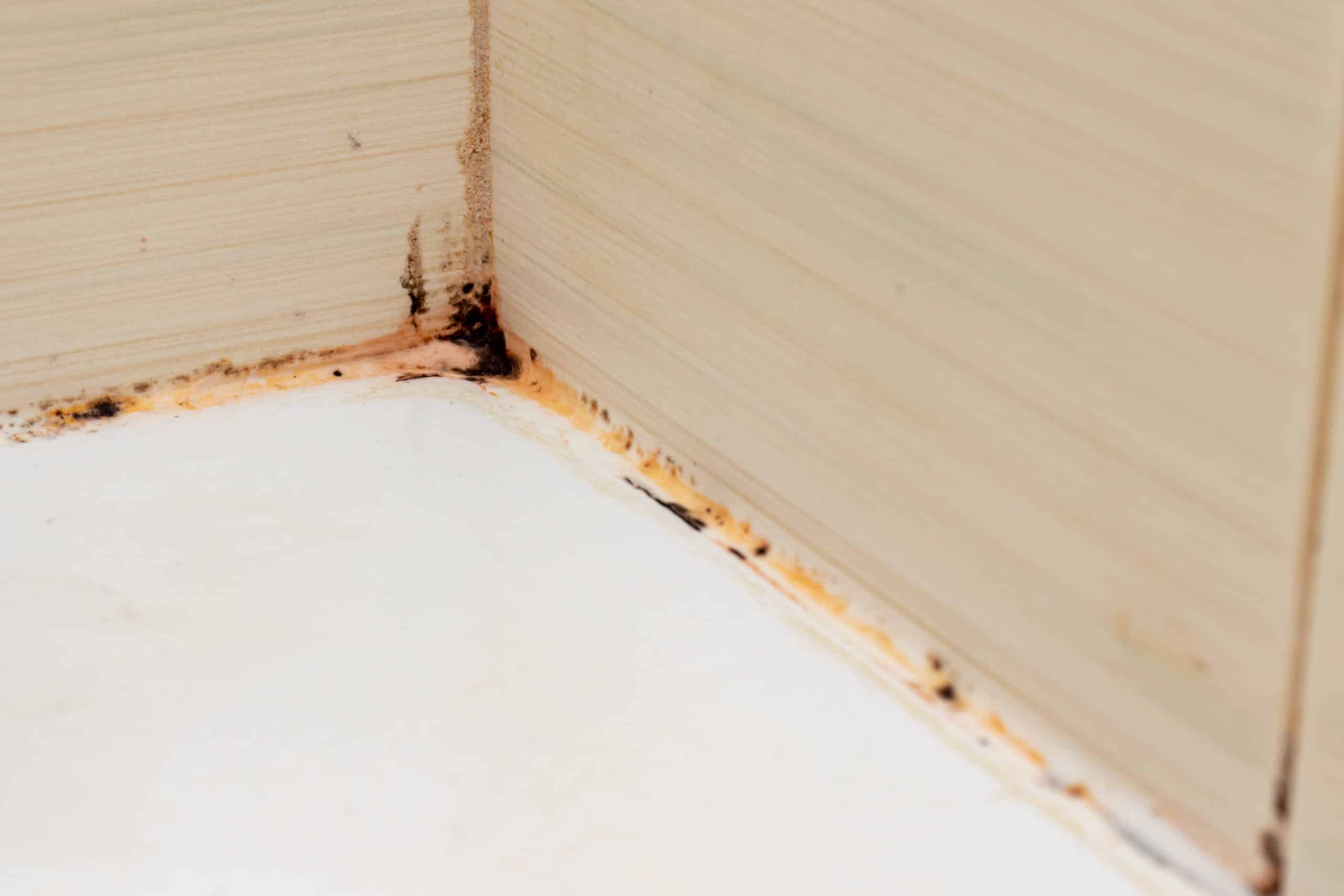 soluție pentru rosturi murdare din baie