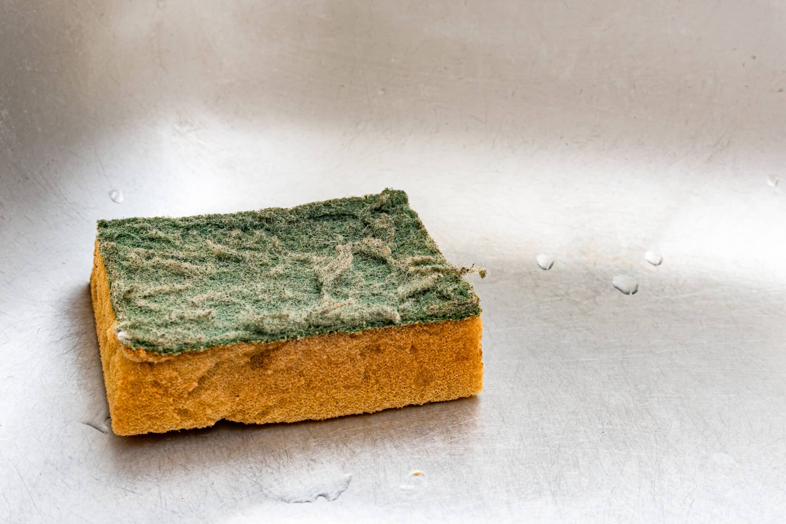 Pericolele bacteriilor de pe bureți și alternativa